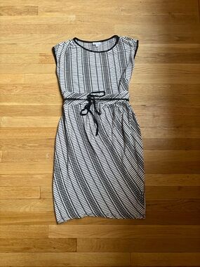 A Pea in the Pod Maternity Dress